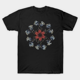 CaMKII Holoenzym T-Shirt